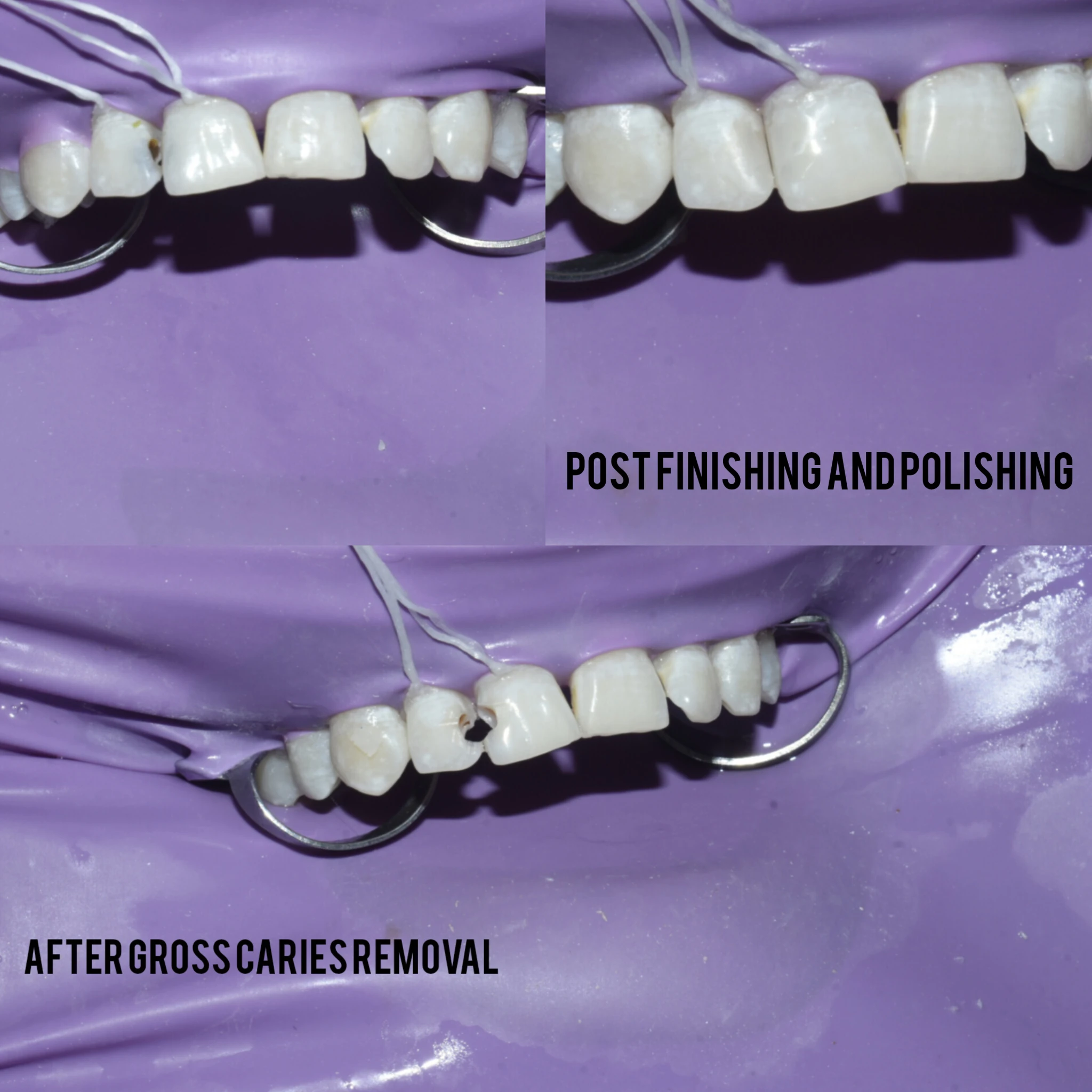 inshot_20250212_173013461-1